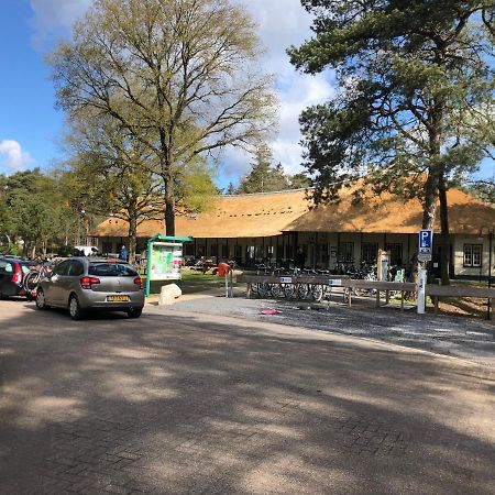 Chalet Albatros Diever Bagian luar foto
